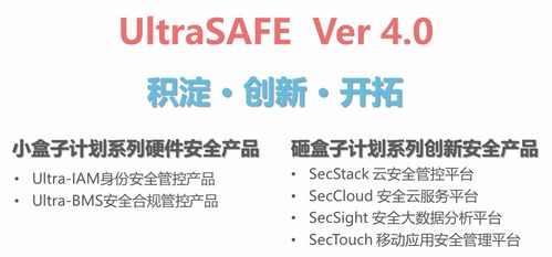 神州泰岳 信息技术咨询服务的卓越引领者